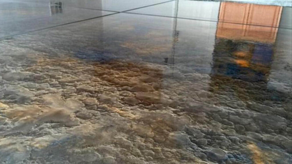 3d epoxy resin flooring in a living room